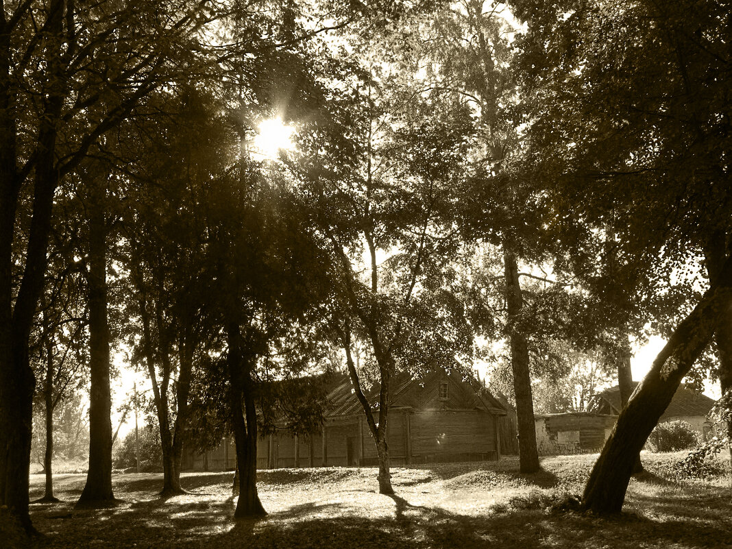 В усадьбе Рериха - Наталья 