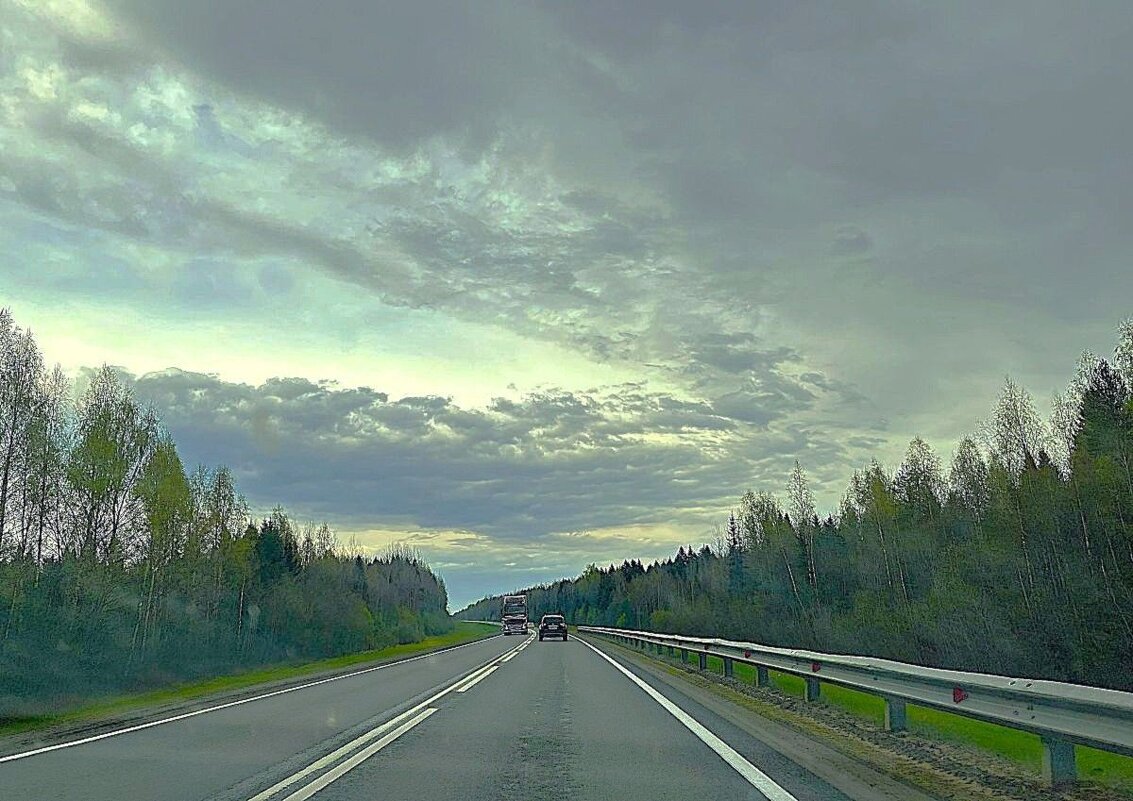 Дорога и нескончаемый лес... - Olga Oskolkova