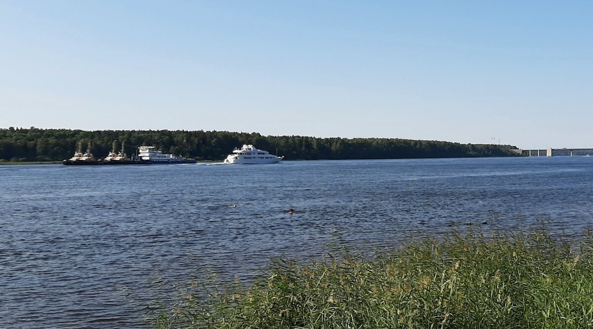 Лето 2025. Август - Наталья Герасимова