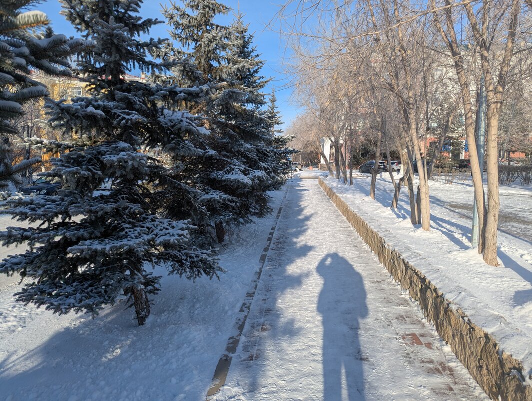 Тени исчезают в полдень - Андрей Хлопонин