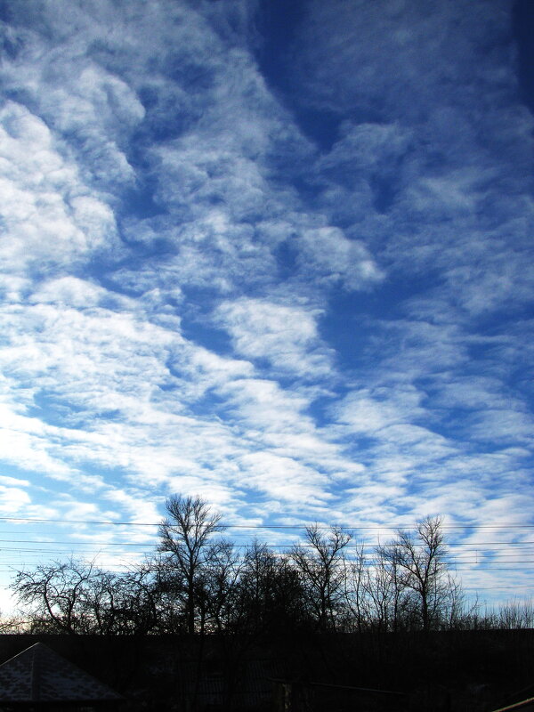 Декабрьский денёк - Людмила Смородинская