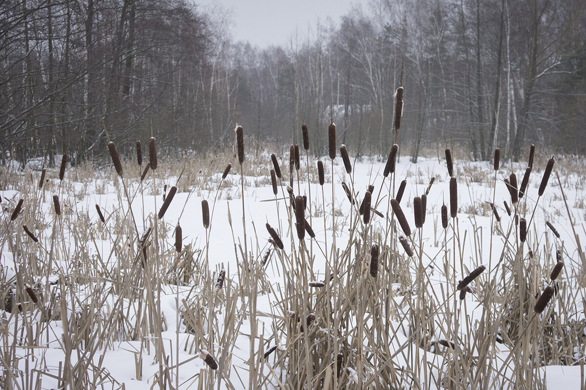 *** - Владимир Носов