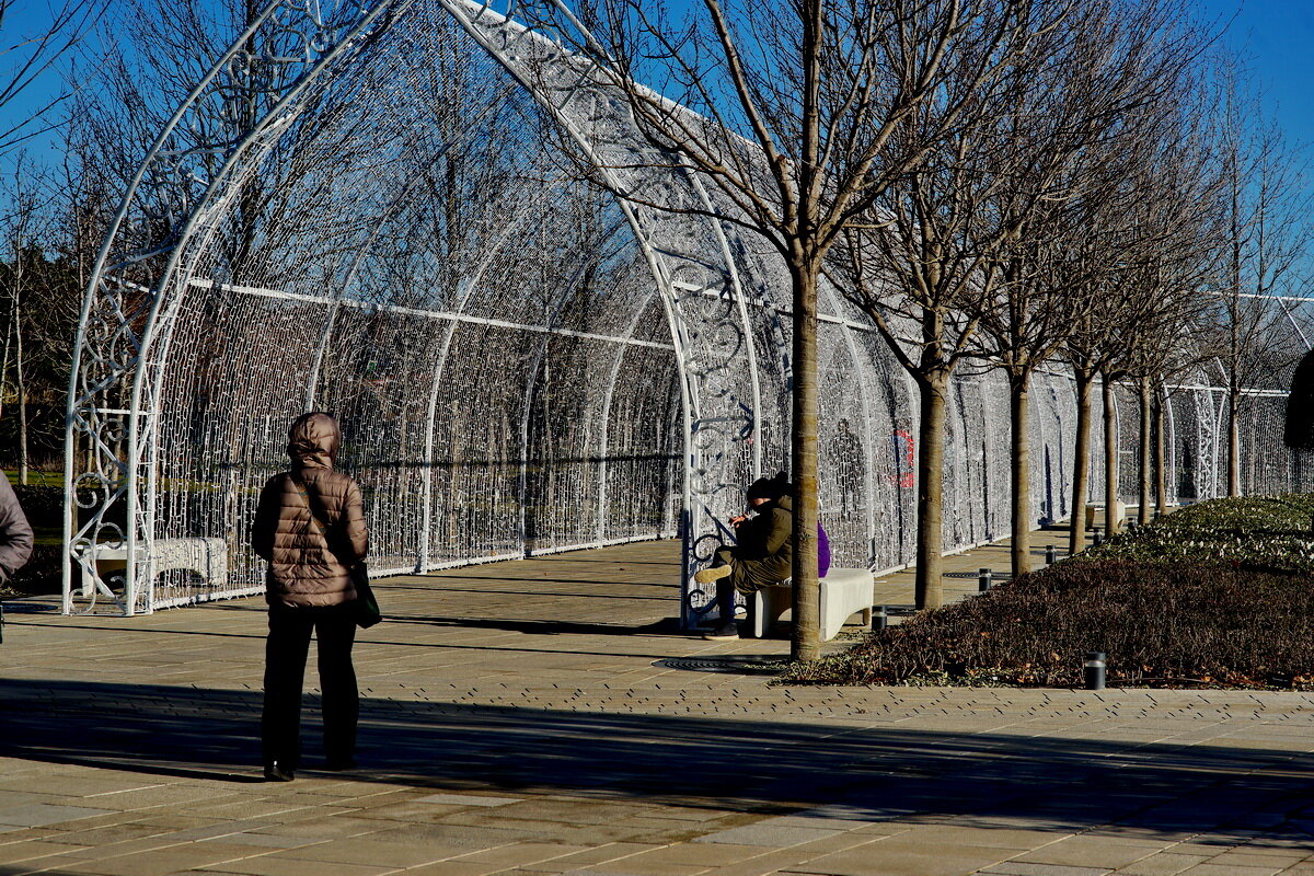 В парке Галицкого... - Николай Саржанов