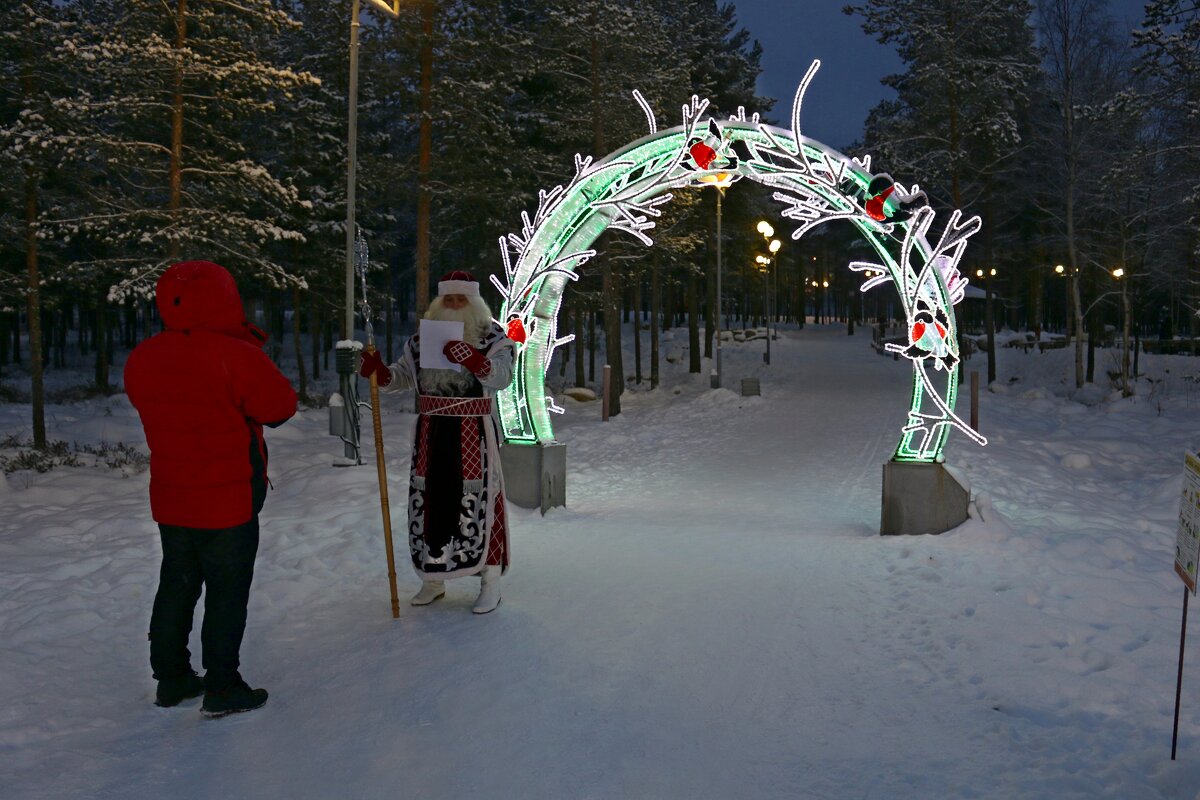 Новогодние встречи - Ольга 