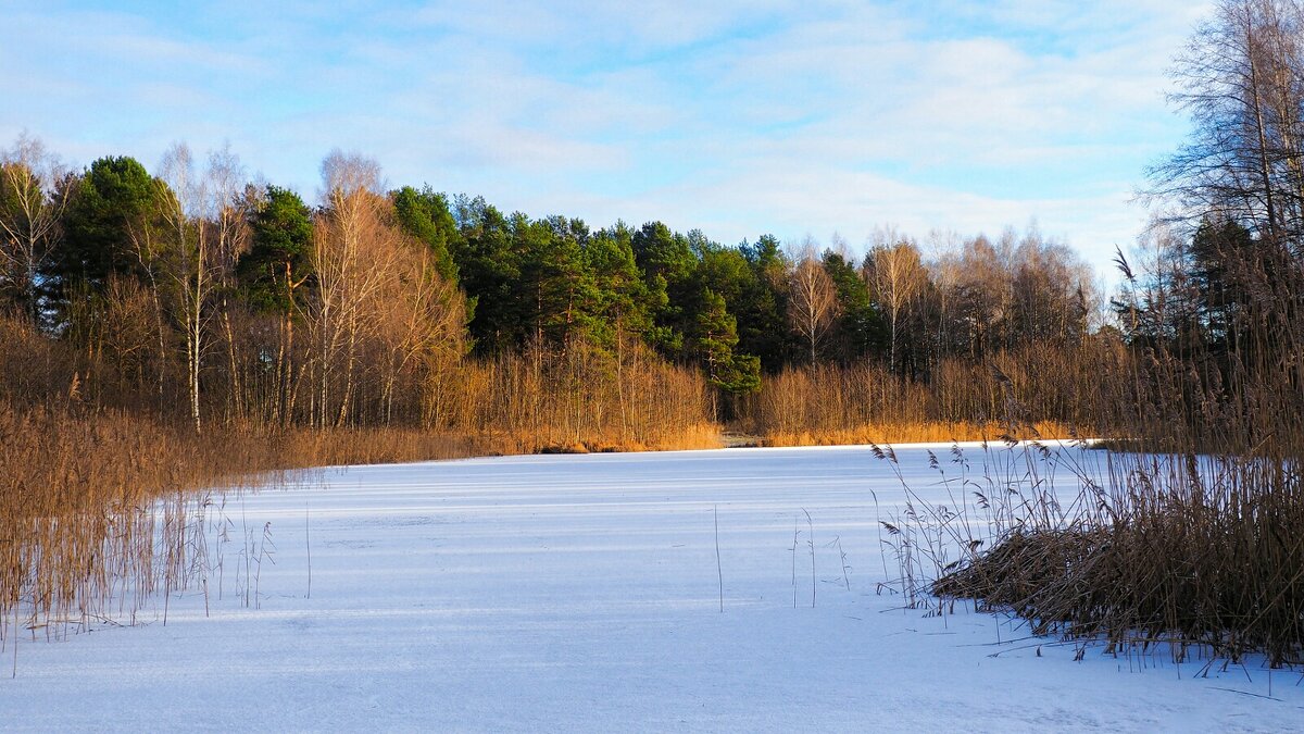 Природа в конце декабря. - Милешкин Владимир Алексеевич 