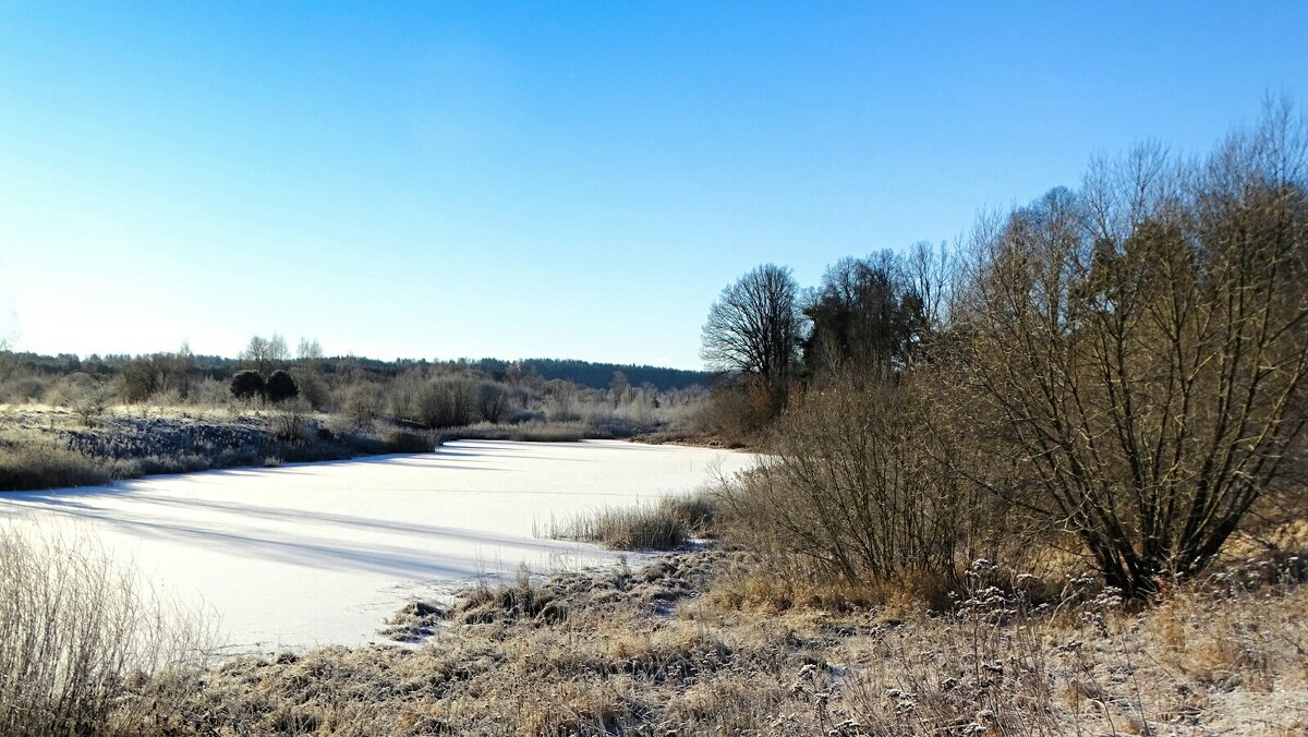 Про нашу зиму. - Милешкин Владимир Алексеевич 
