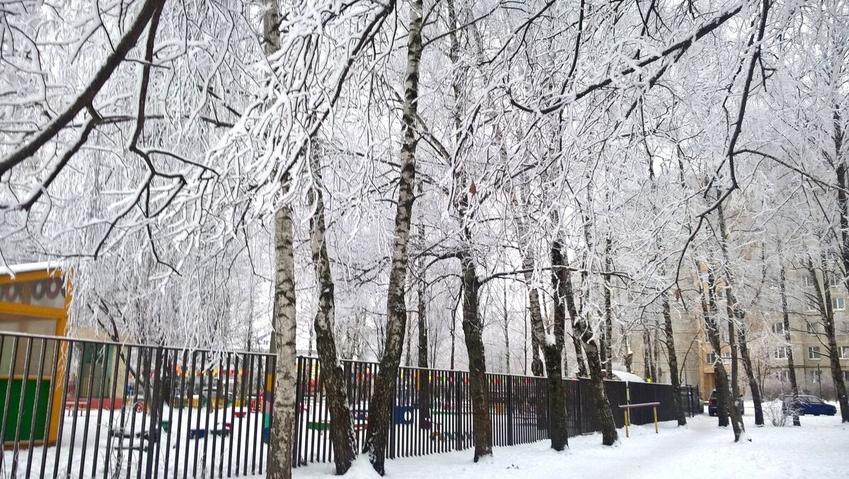 Снежным днем - Елена Семигина