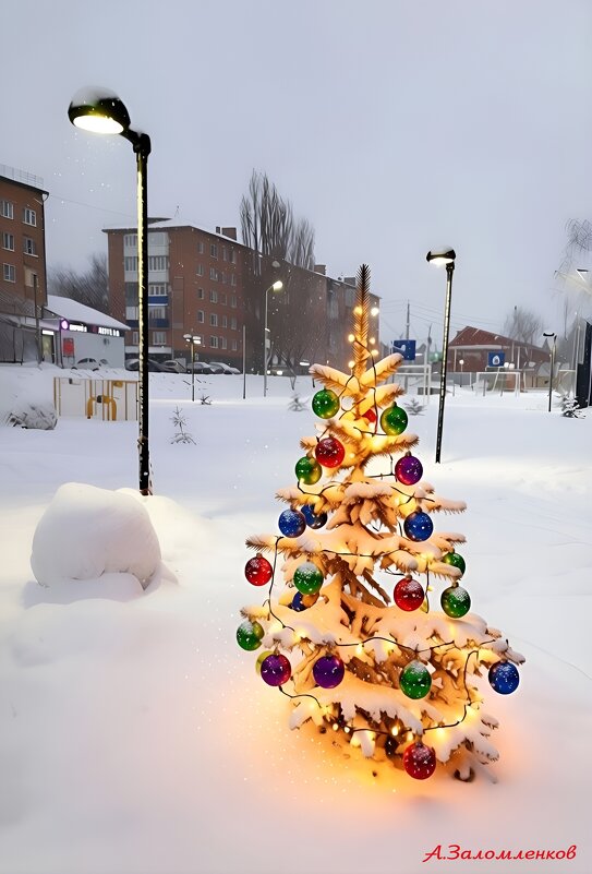 Предновогодние рассветы декабря... - Андрей Заломленков