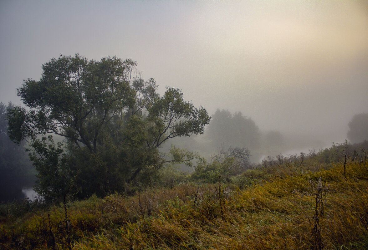 Туман. - Александр. AVG100 ---
