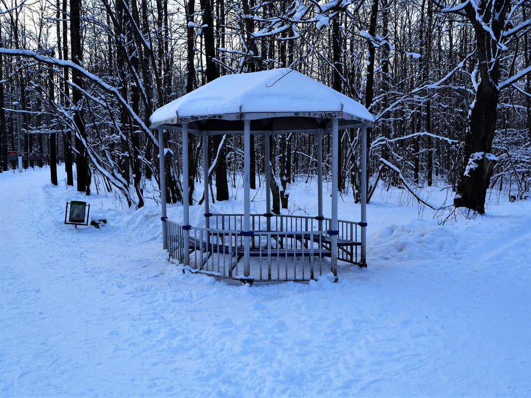 Новочебоксарск. Беседка Ельниковской рощи зимой. - Пётр Чернега
