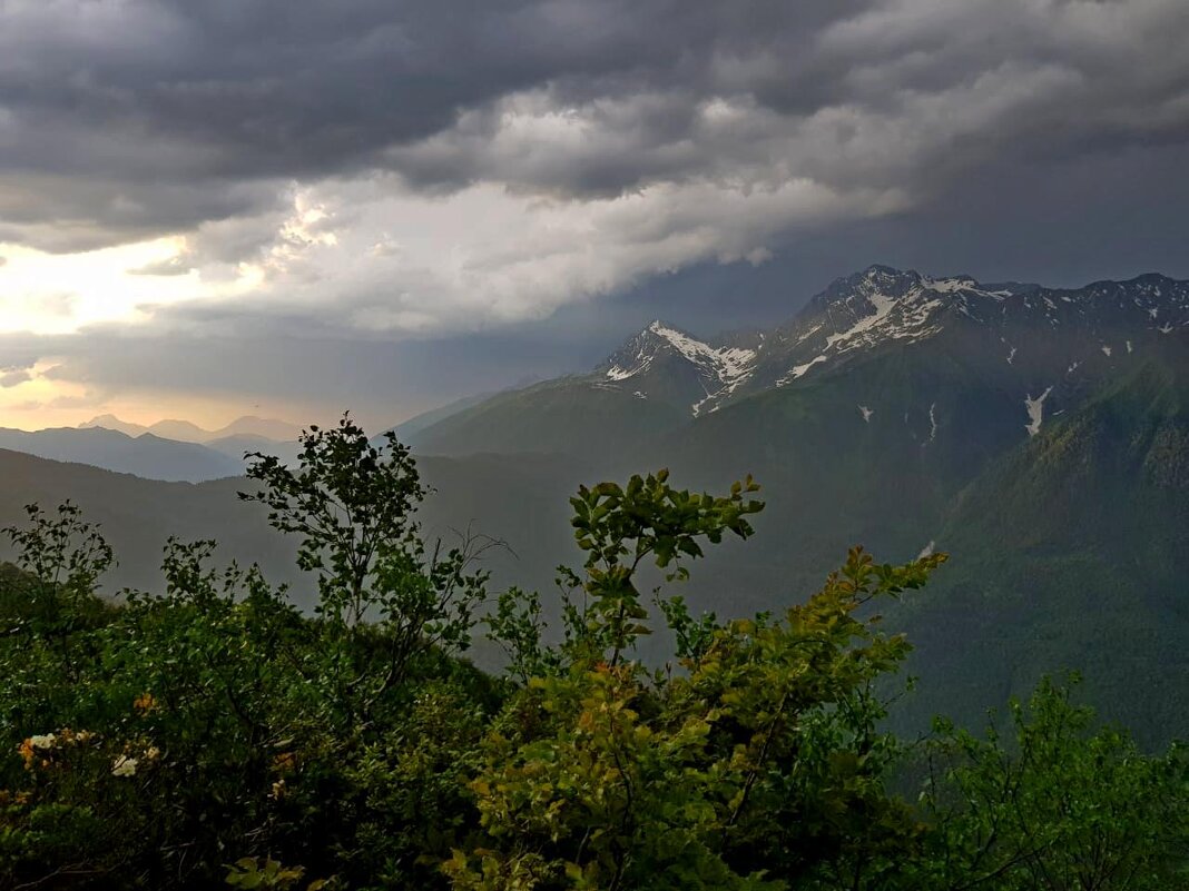 красная поляна сочи - Tata Wolf