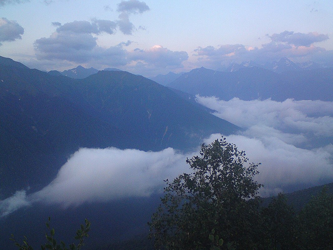 красная поляна сочи - Tata Wolf