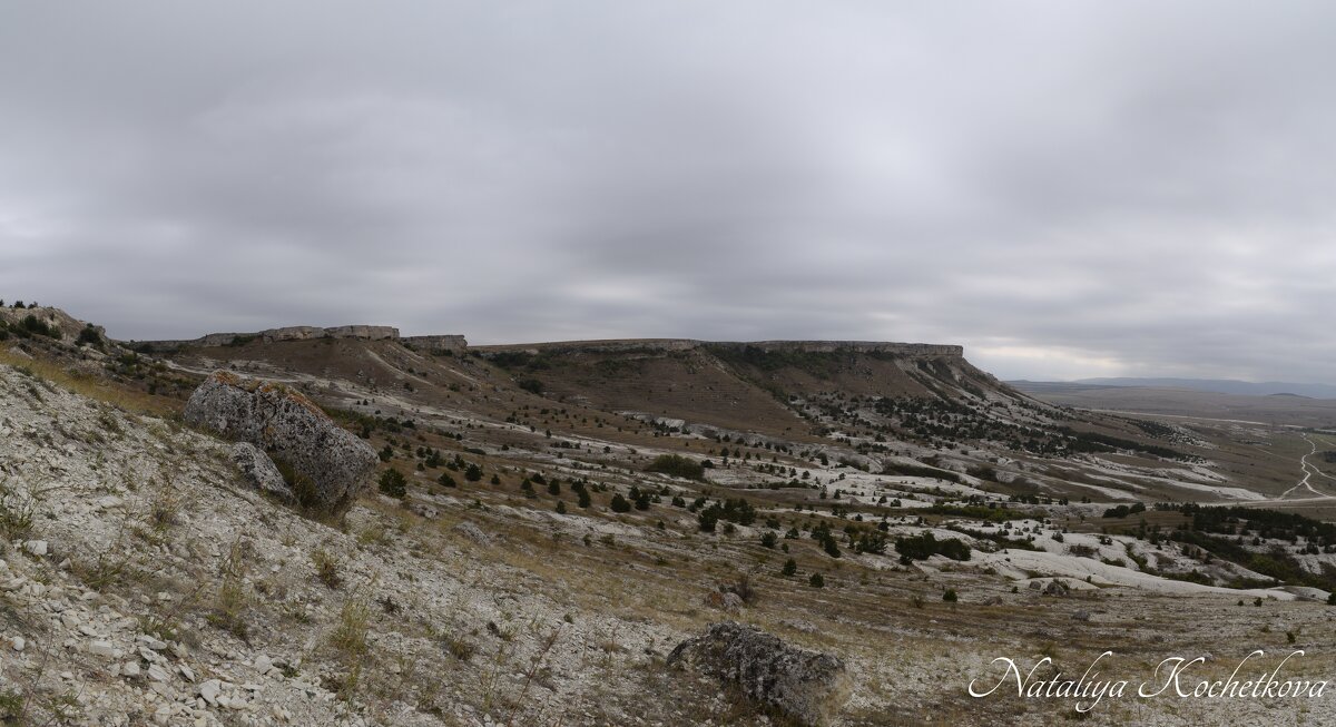 Природа Крыма - Amazing Cosmea