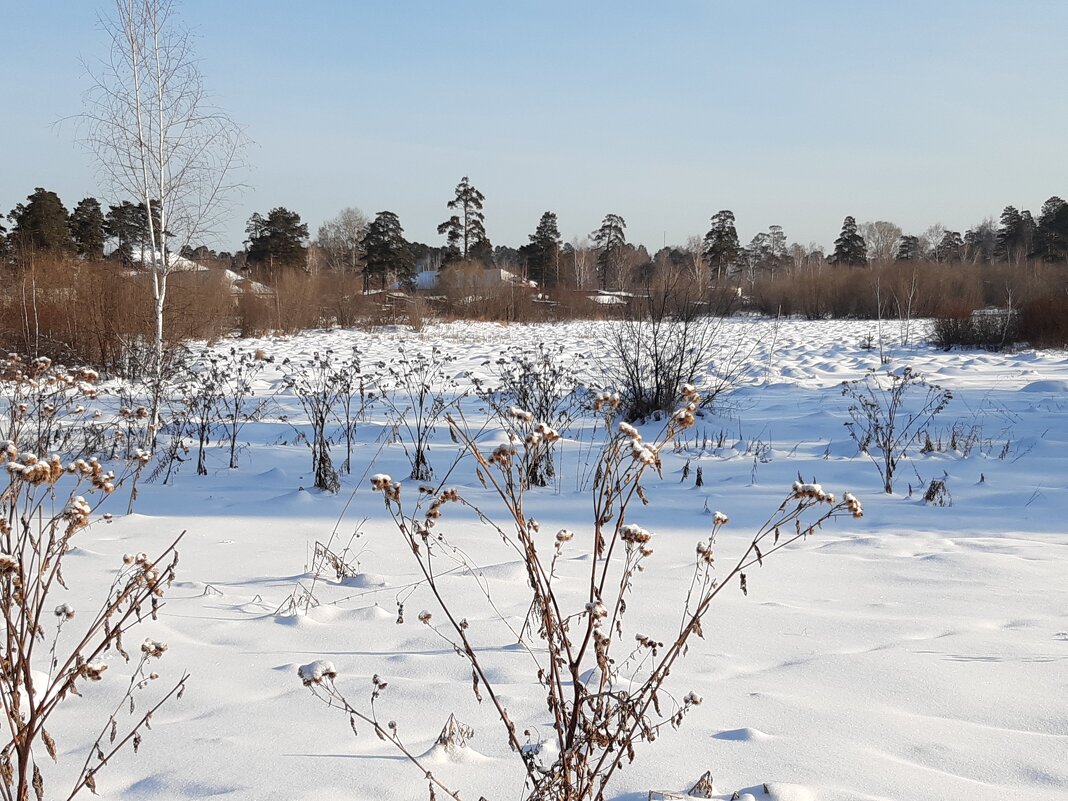 Фото одного дня - Галина Минчук