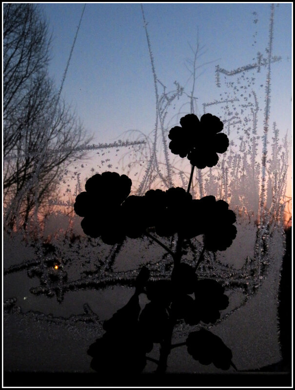 Зимнее утро. - Егор Бабанов