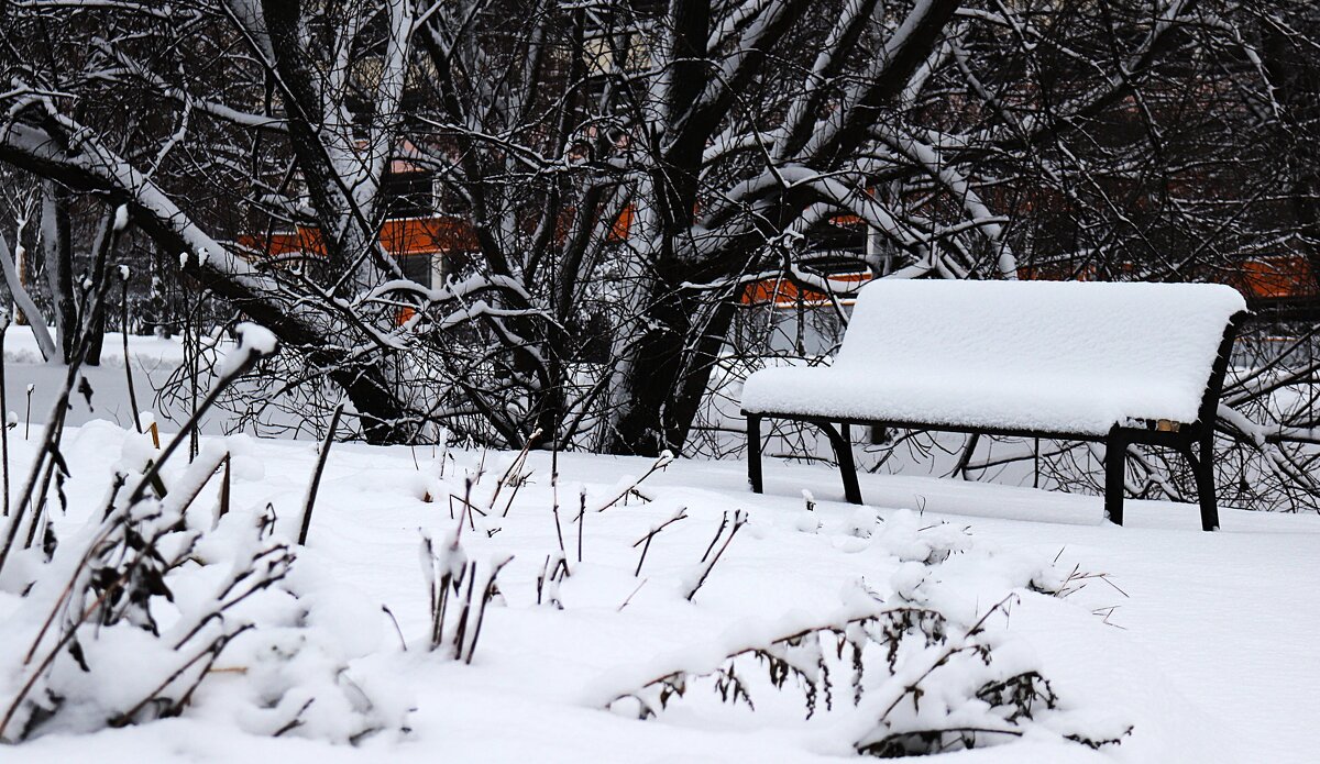 Всё в снегу. - Василий Палий