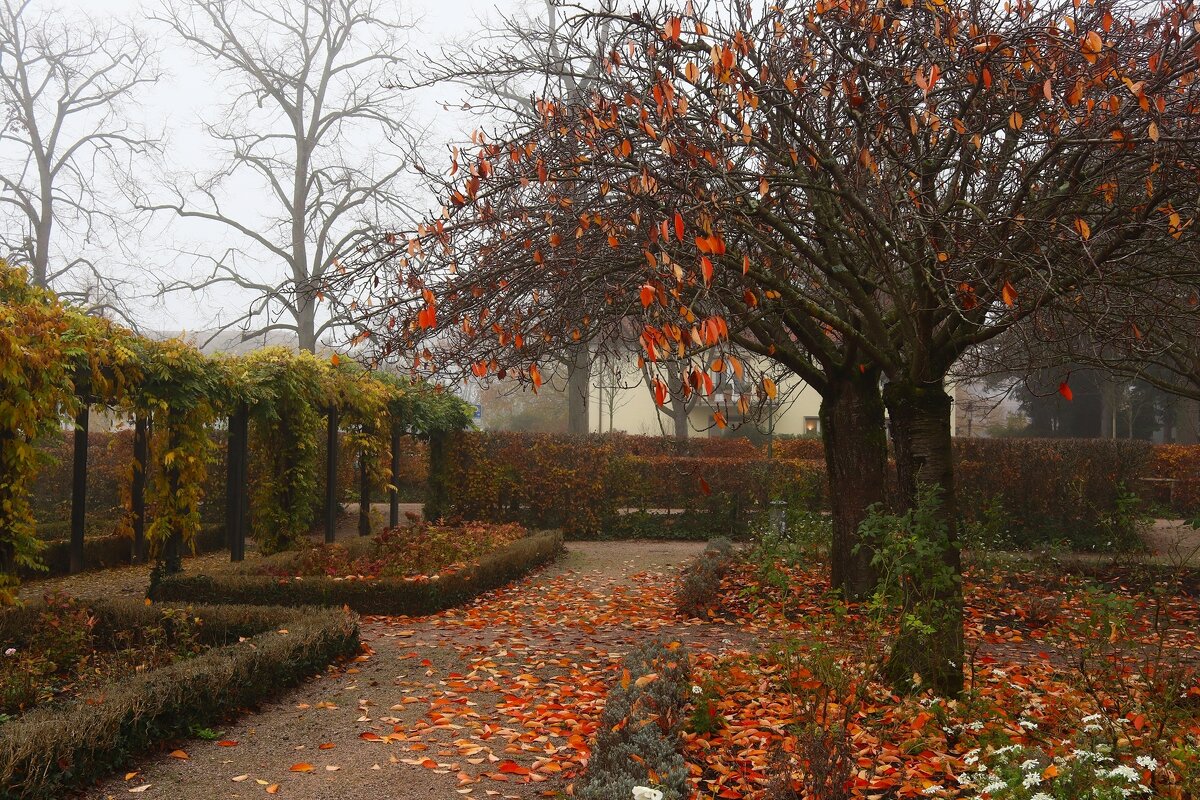 Осенний день - Юрий. Шмаков