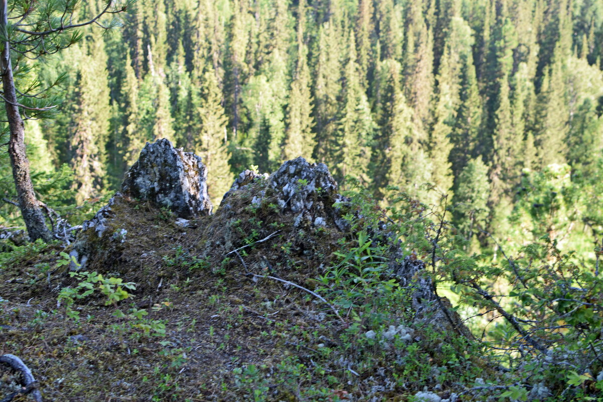 Смотровая площадка. - ВикТор Быстров