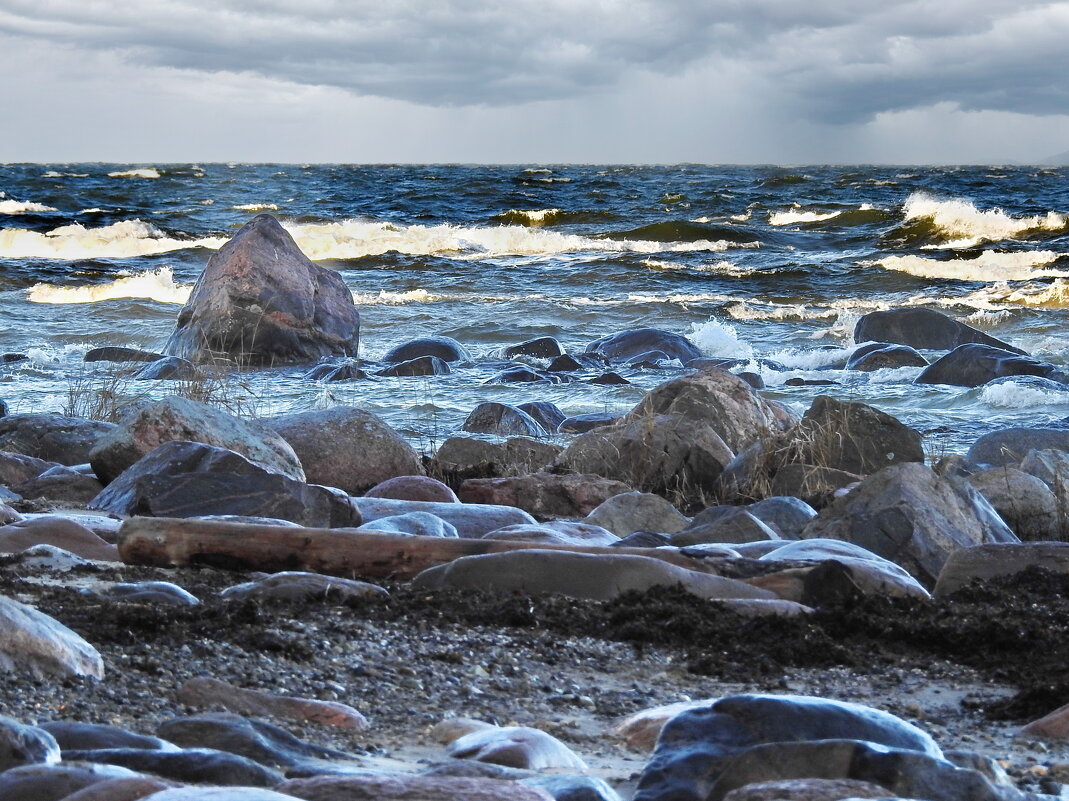 декабрьское море - ИННА ПОРОХОВА