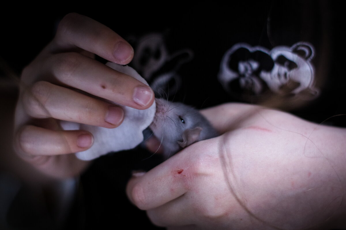 Насморк! - Артём 