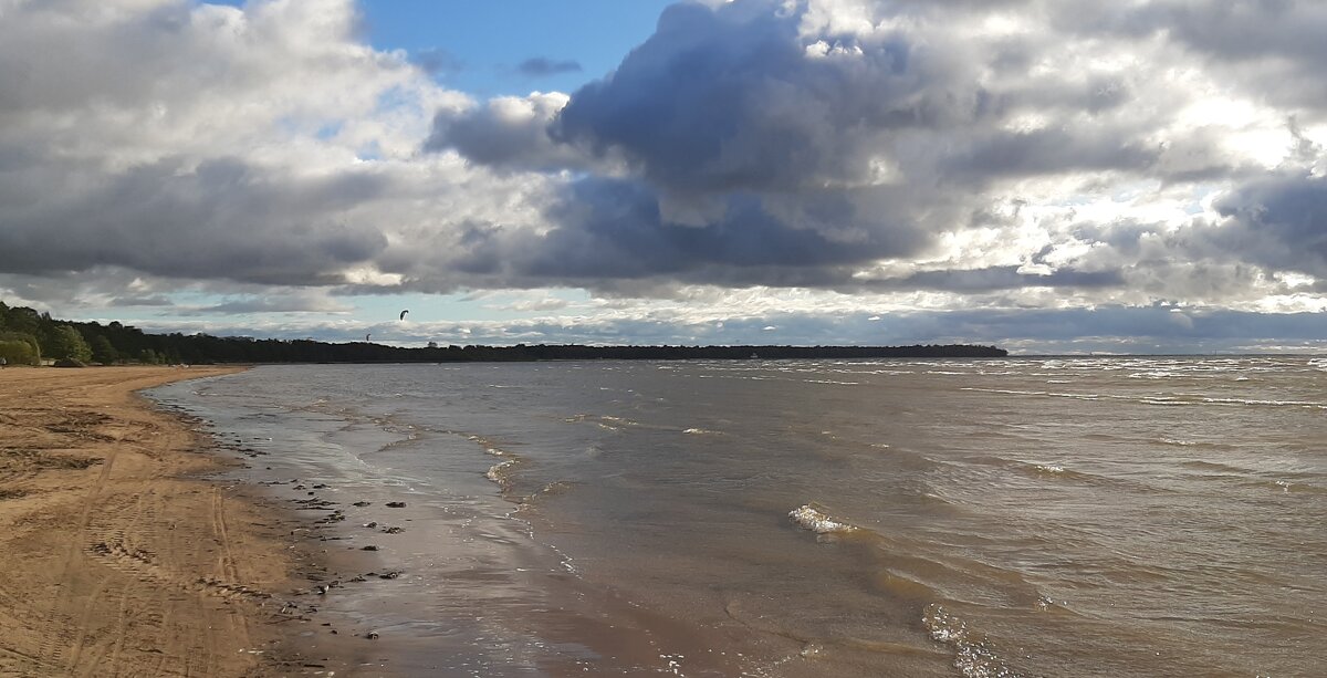 Осень 2025. Сентябрь - Наталья Герасимова Осень 2025. Сентябрь - Наталья Герасимова