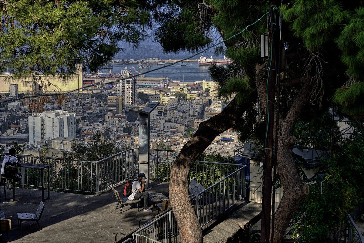 Израиль Хайфа предновогодняя 2025г - ujgcvbif 