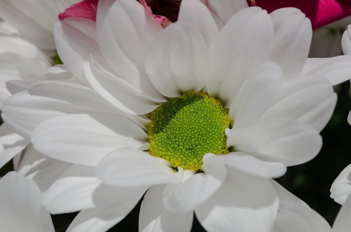 *** - Виктор Иванович Чернюк