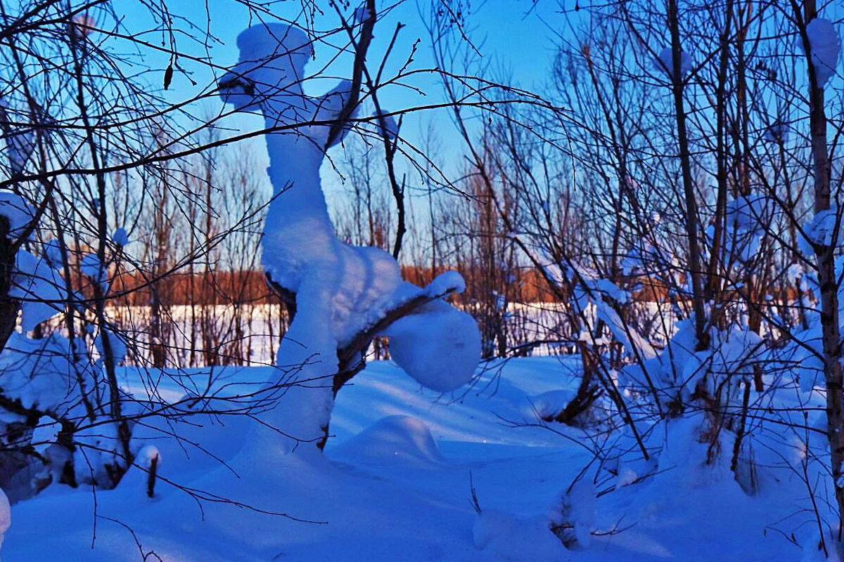 Январь,..Снежный чертик! - Владимир 