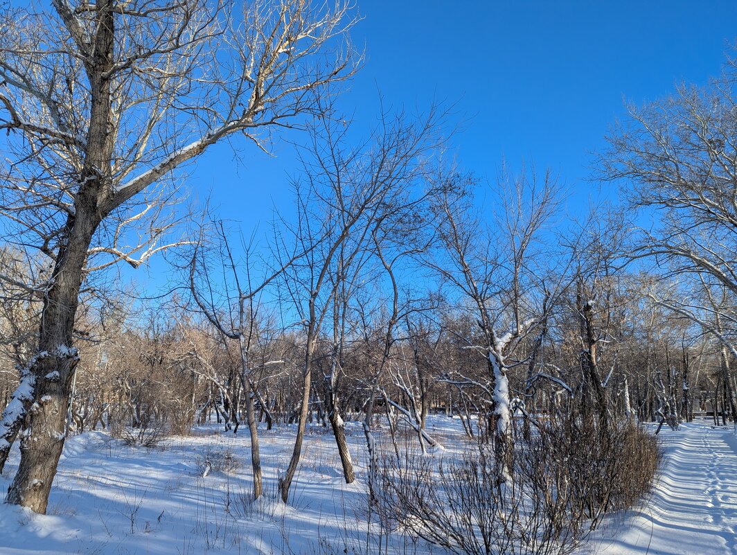 Снежная чистота... - Андрей Хлопонин