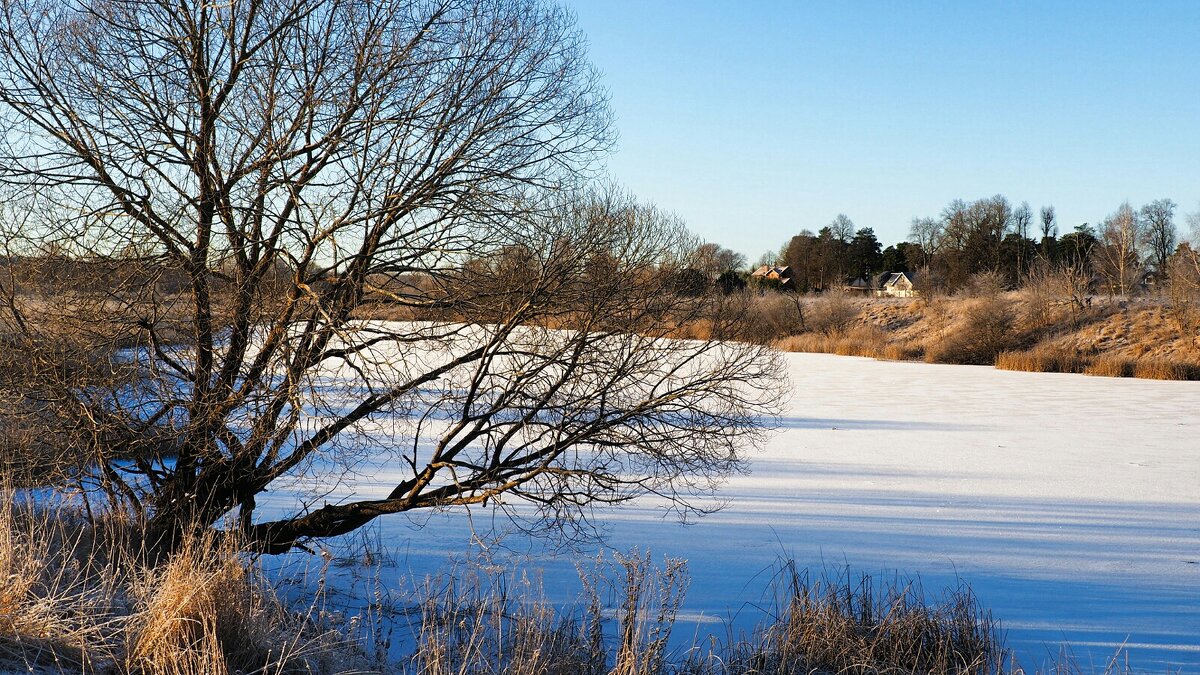 Природа в декабря. - Милешкин Владимир Алексеевич 