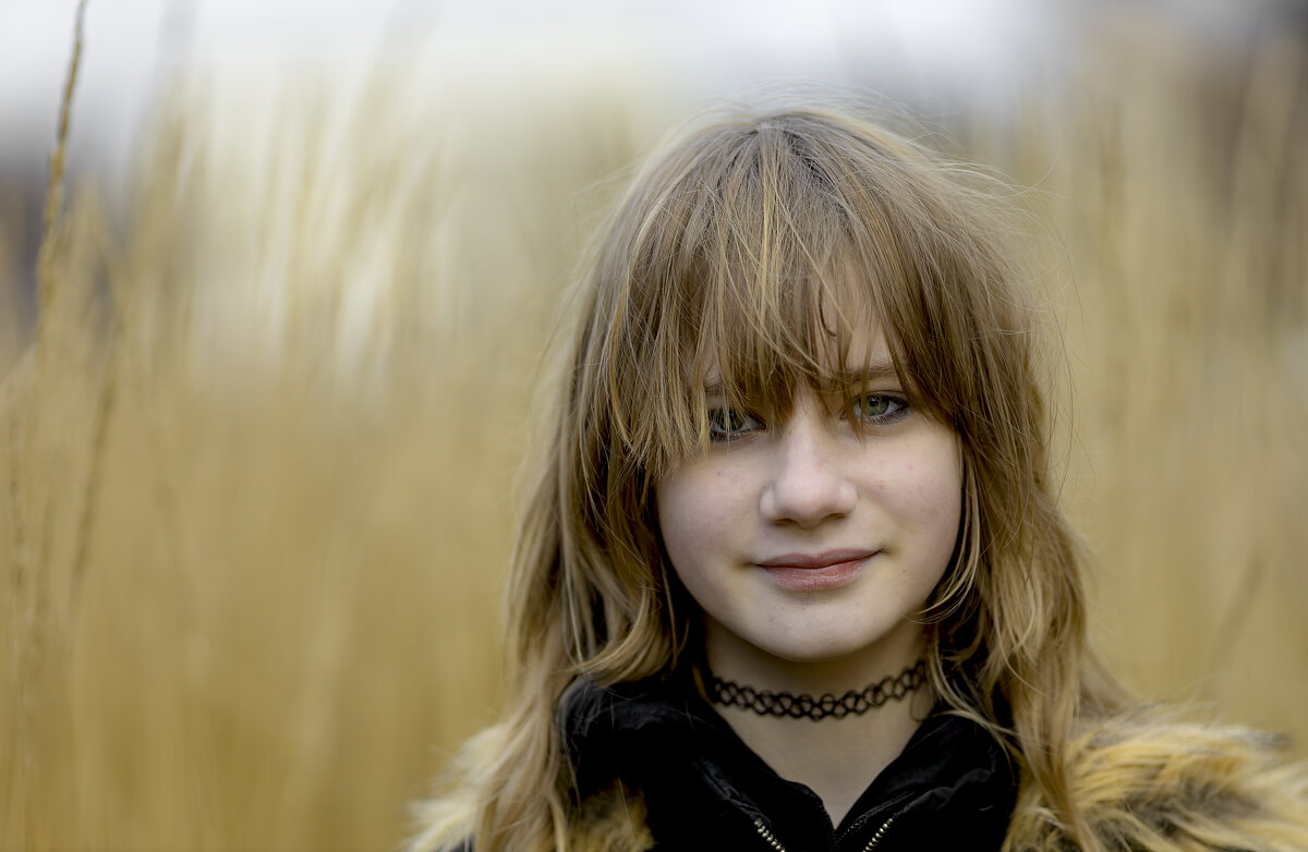 *** - Николай Климович