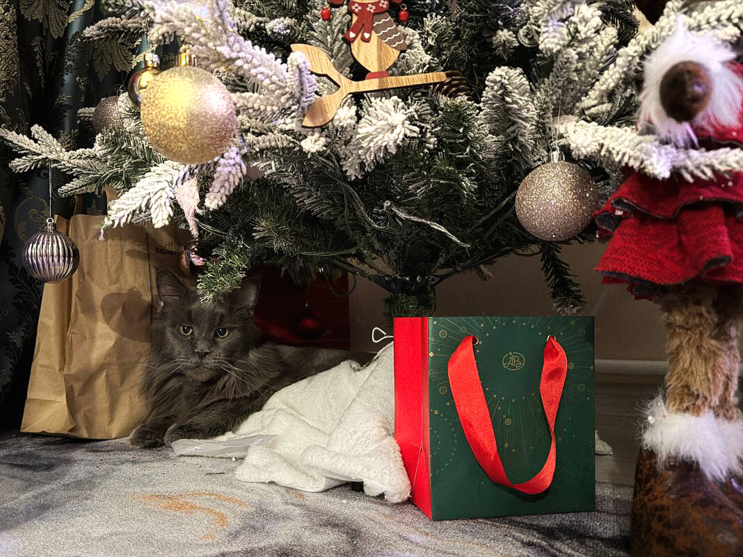 под елочкой ) - Андрей Город