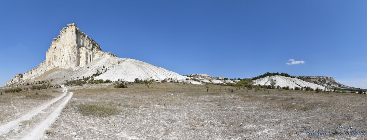 Природа Крыма - Amazing Cosmea