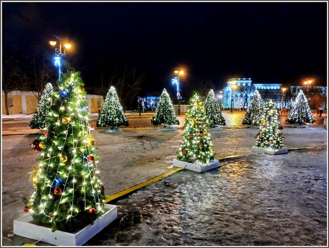 Новогодние ёлочки. - Лия ☼