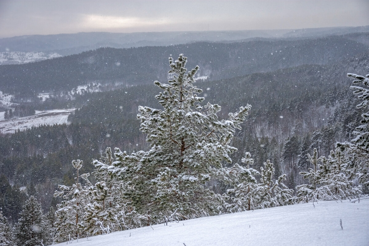 А снег идет... - Наталья Димова