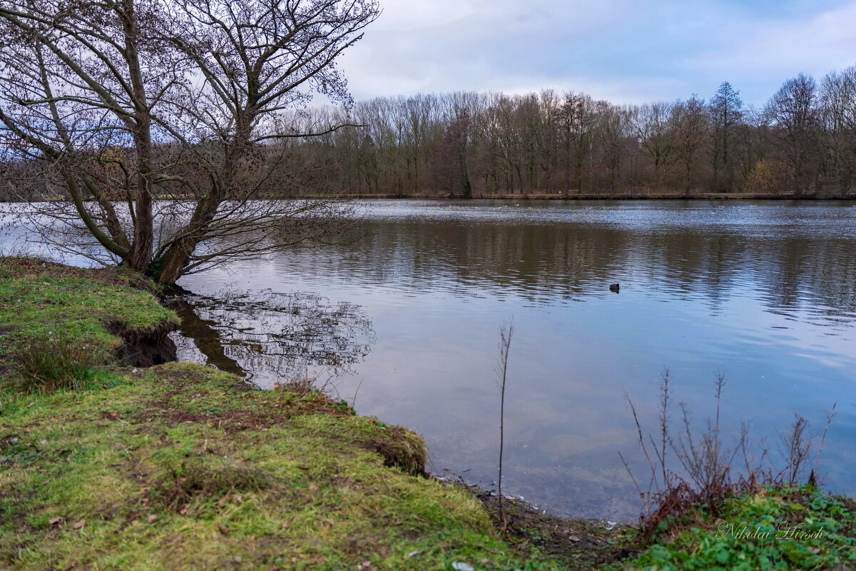 Январское... - Николай Гирш