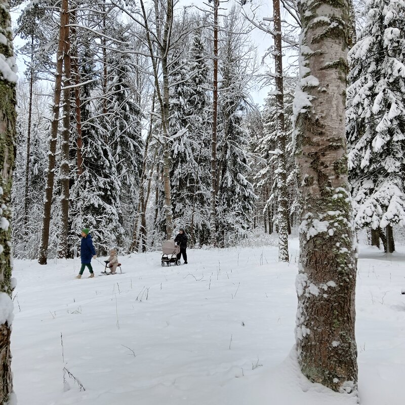 прогулка - Владимир 