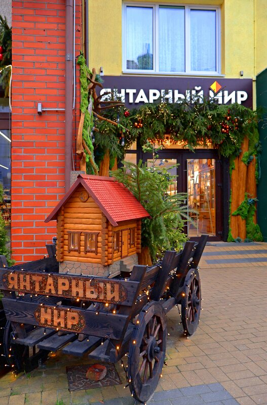 Янтарный мир - Сергей Карачин