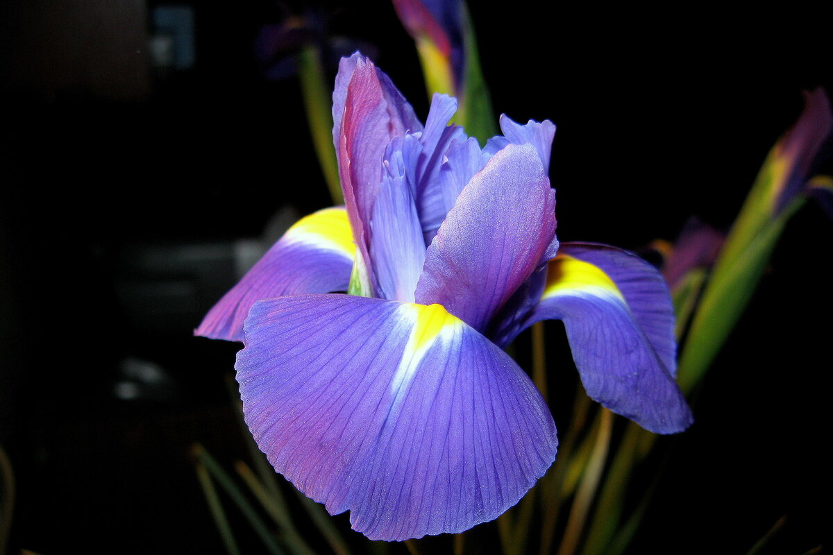 КРАСАВЧИК.... - Татьяна Касьяненко