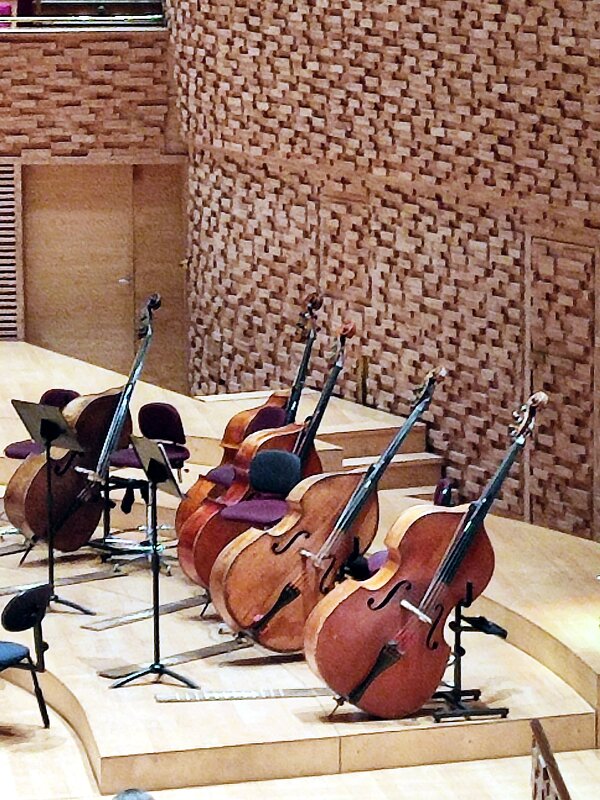 В ожидании Ее Величества Музыки - Ирина 