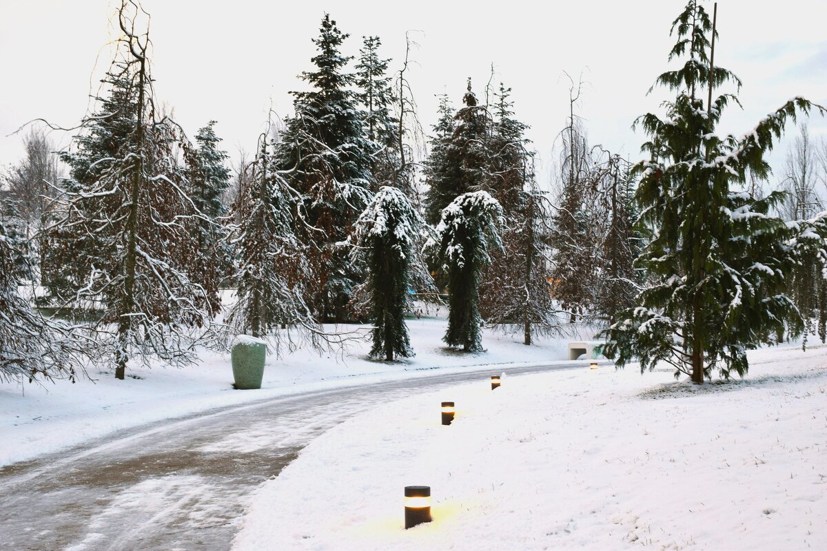 Марго, в этом наряде мы прекрасны! - Юрий Полторыхин.
