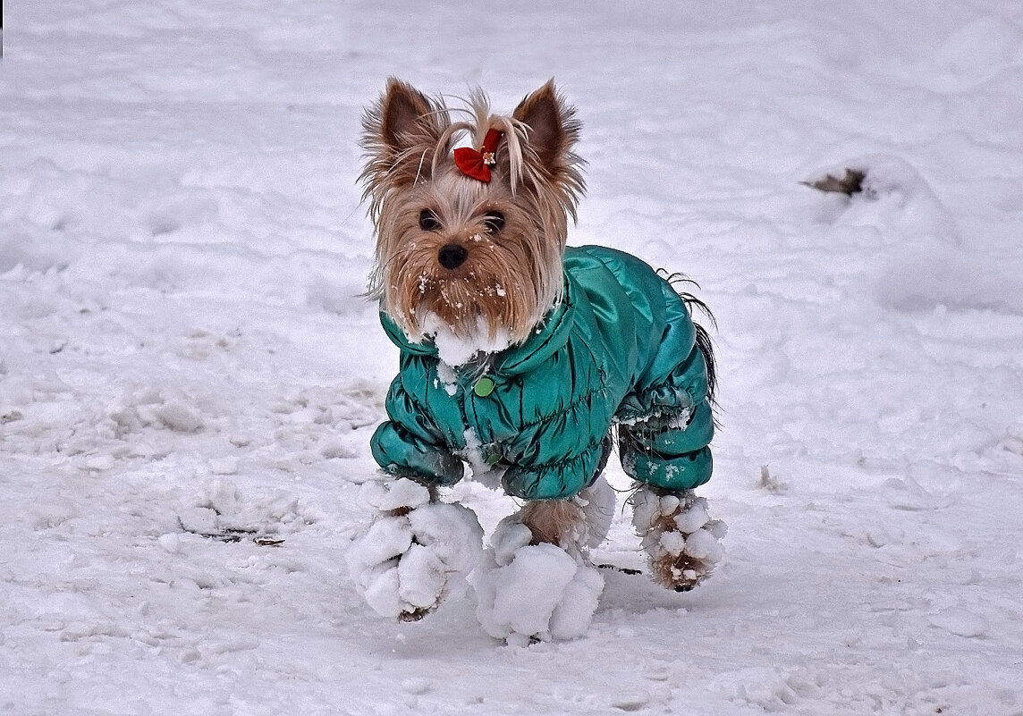 Вы меня не забыли?! Учусь позировать. - Валентина  Нефёдова 