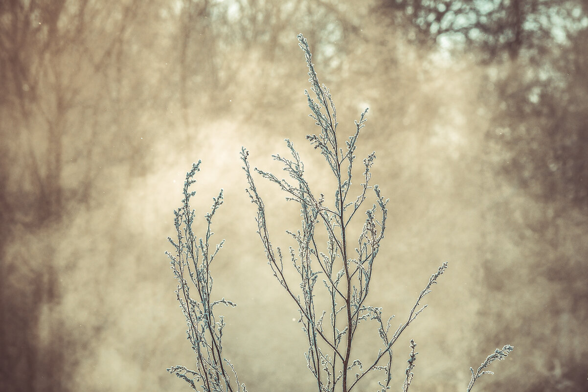 *** - Виктор Иванович Чернюк