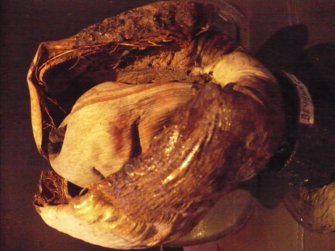 Вечный Сон... - Валерий Кокорев