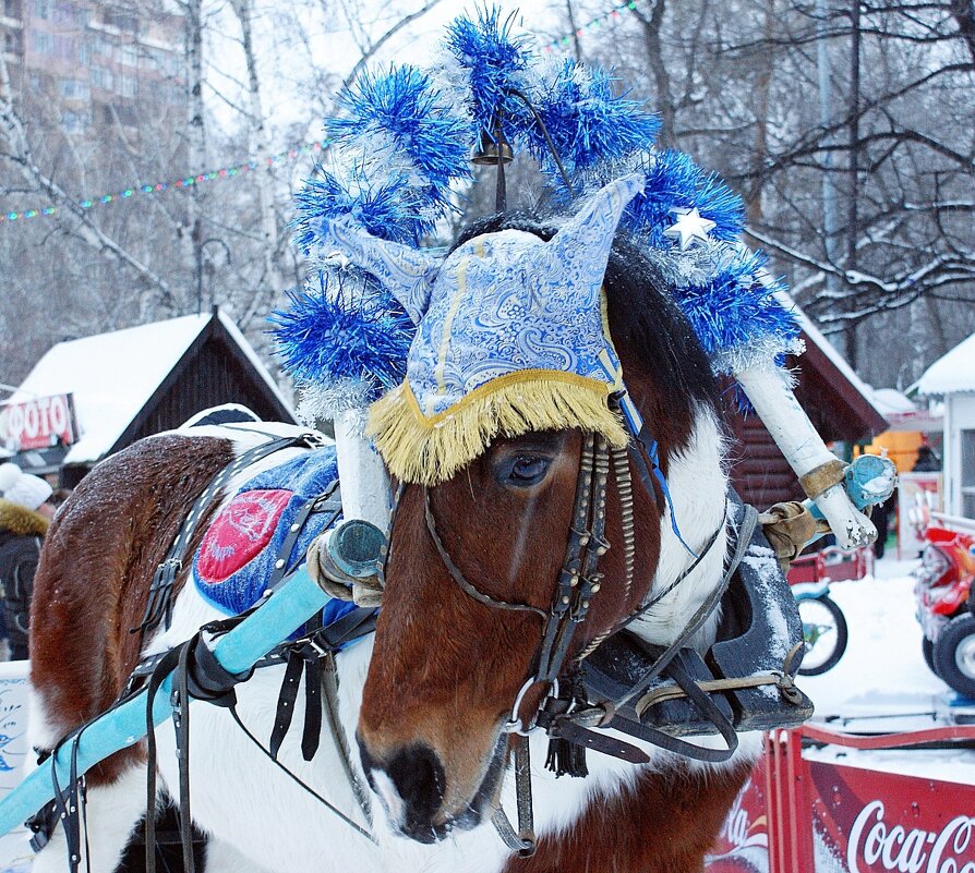 За работой - Галина Нестратова За работой - Галина Нестратова