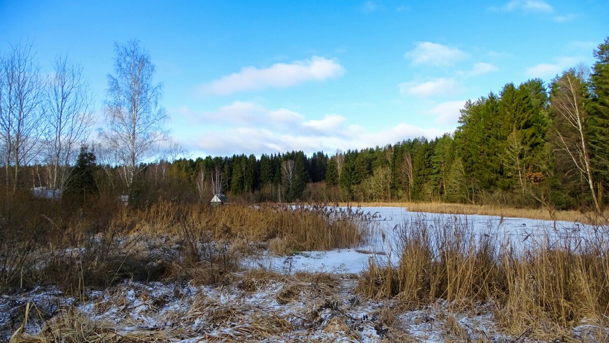 Зима в декабря - Милешкин Владимир Алексеевич 