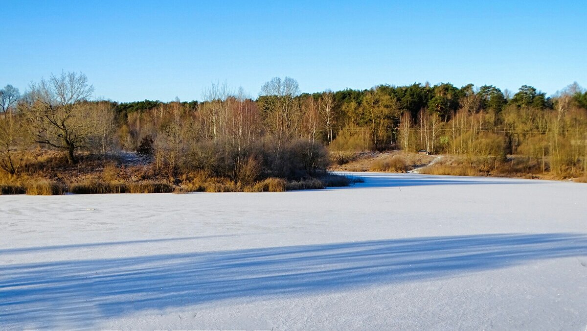 Свет и тени - Милешкин Владимир Алексеевич 