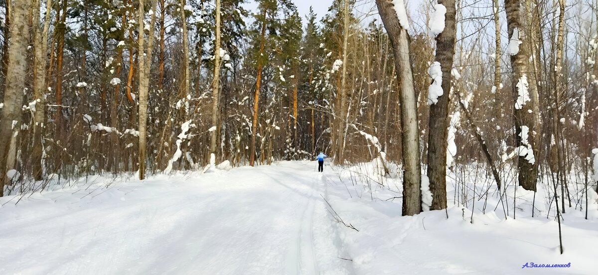 И вот пришла уж лыжная пора! - Андрей Заломленков