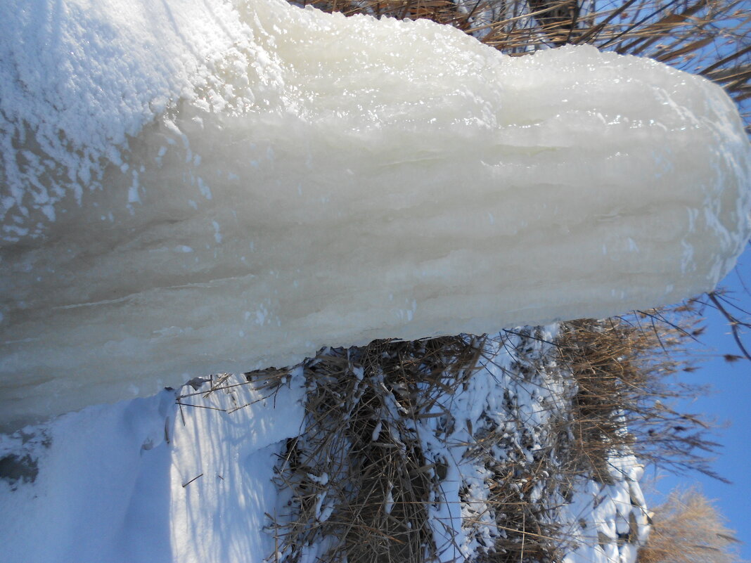 февральское - Елена Шаламова