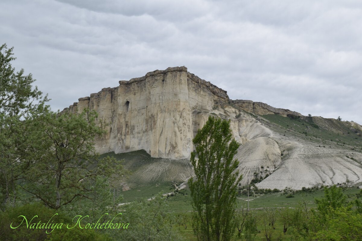 Природа Крыма - Amazing Cosmea